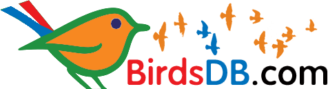BirdsDB.com